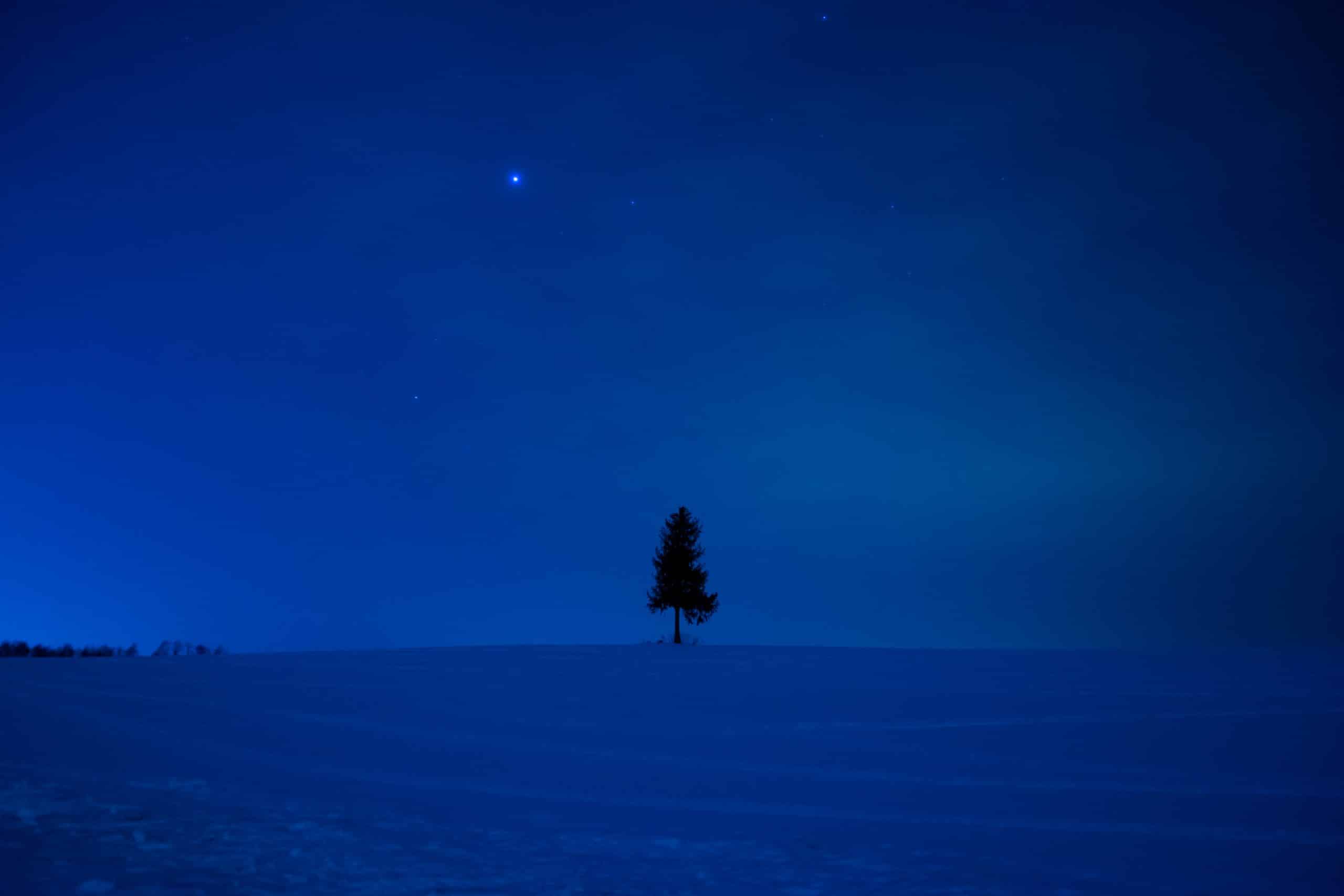 Dark blue sky reflects of the snow in a winter scape