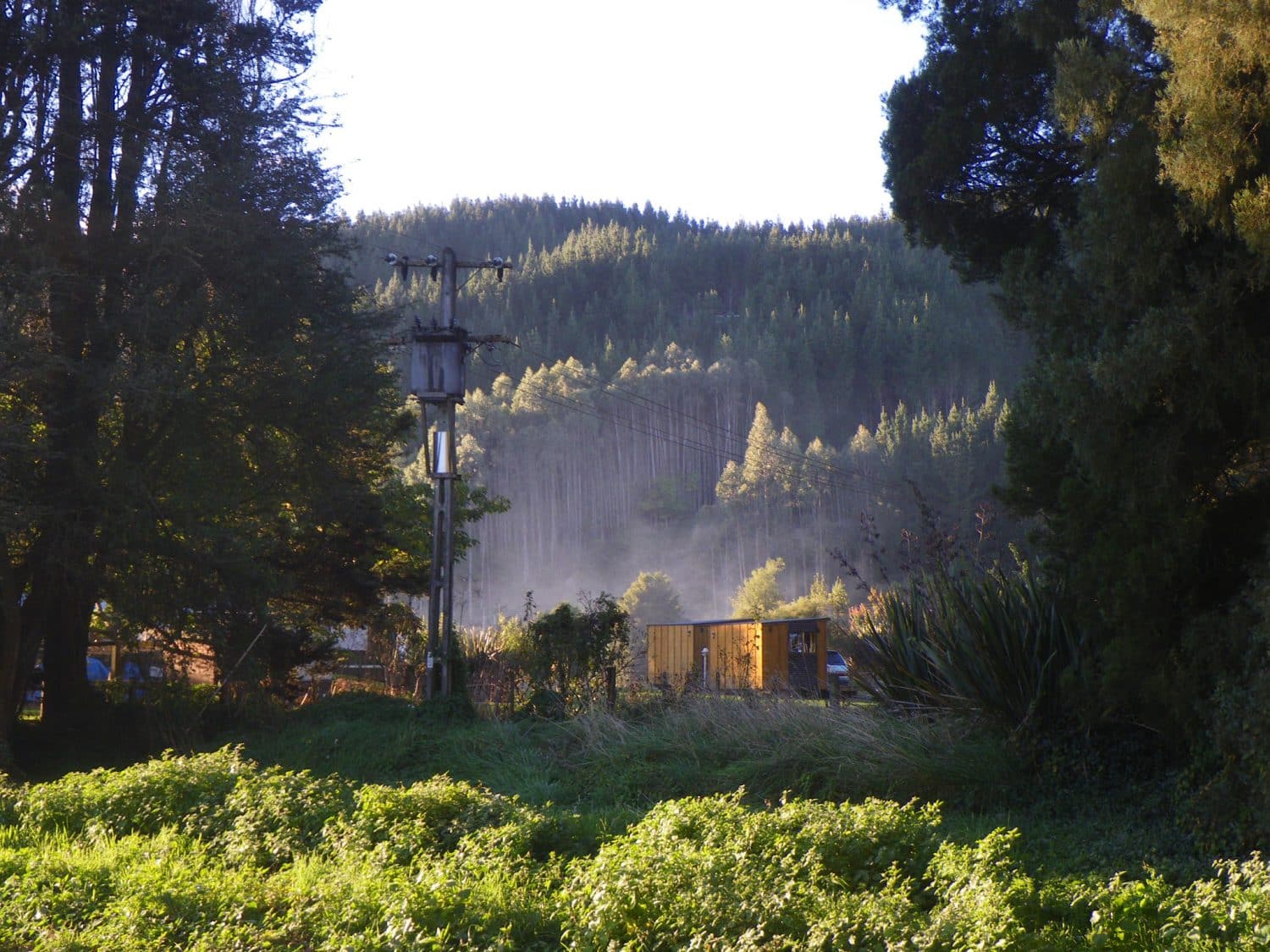 Image of Taumarunui, New Zealand holiday park with morning mist rising amidst a green forest