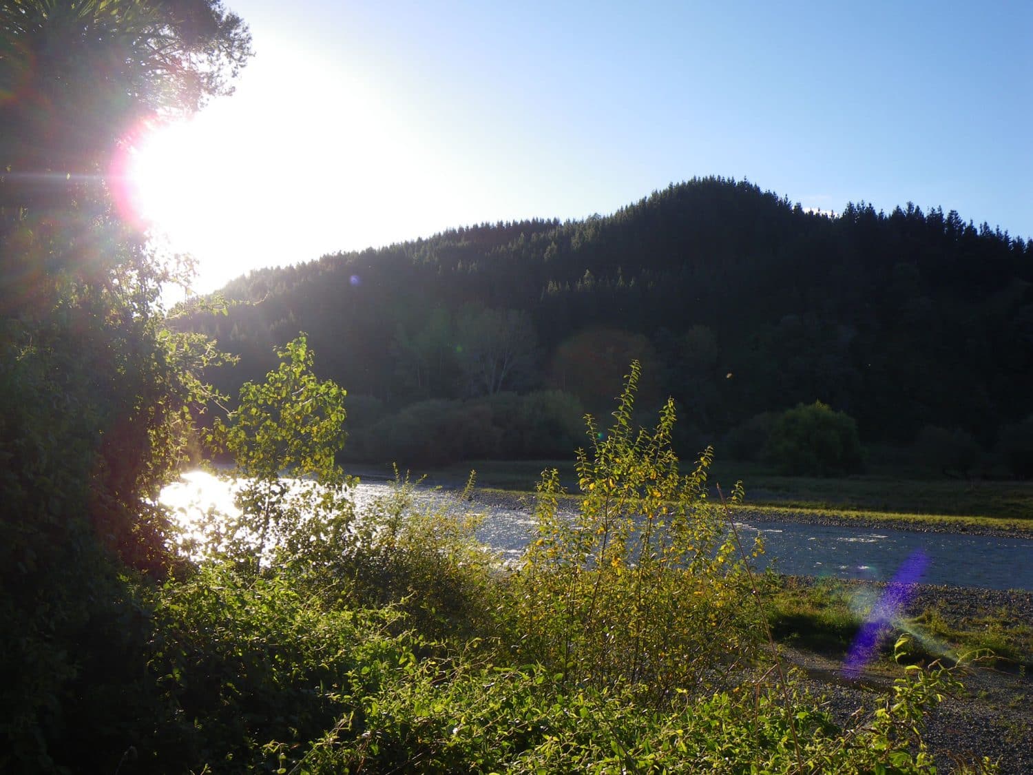 Sun bursts around a tree over stream flowing past a forest covered small mountain in Taumarunui, New Zealand
