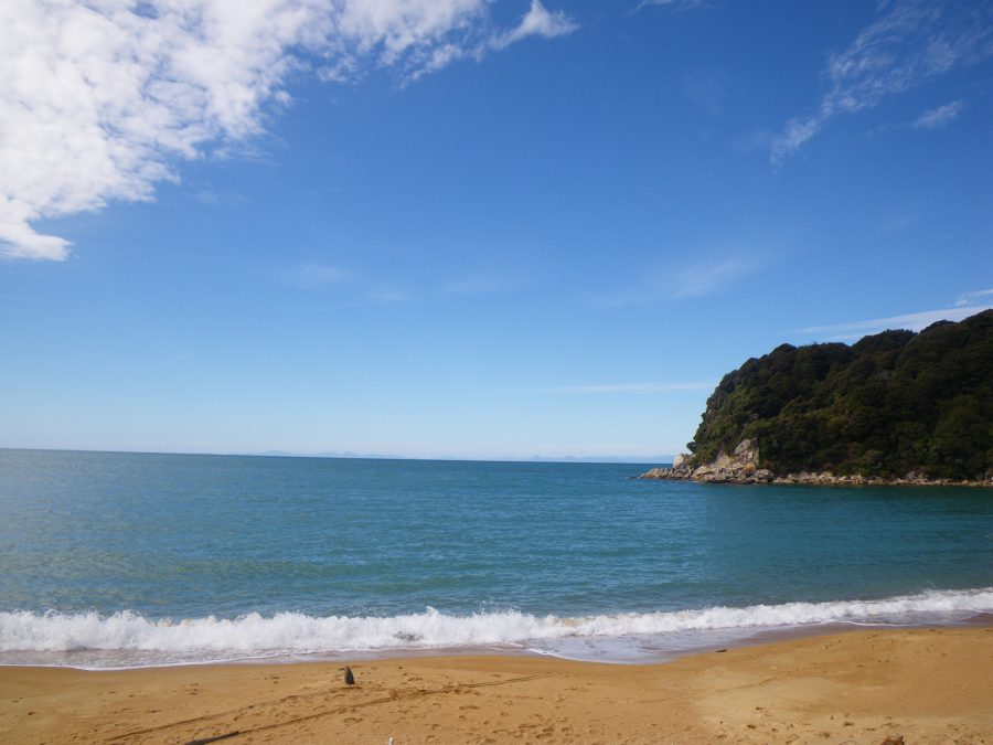 Golden sand beach in Abel Tasman National Park New Zealand