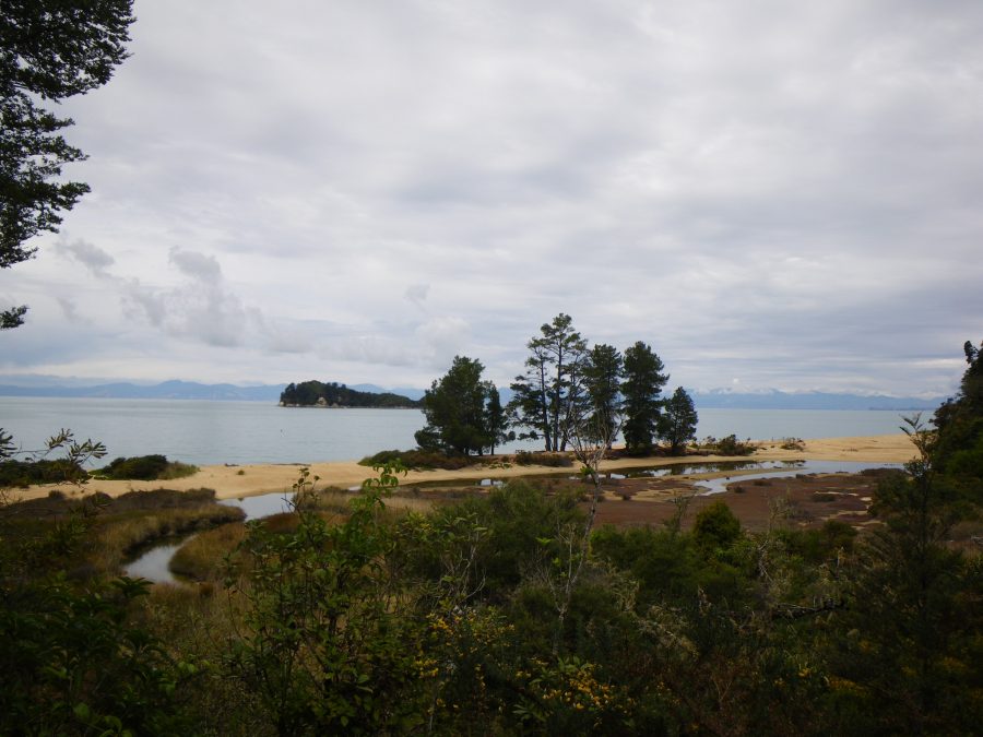 Sand bar with a few trees at low tide contrast against mountains in Abel Tasman National Park New Zealand