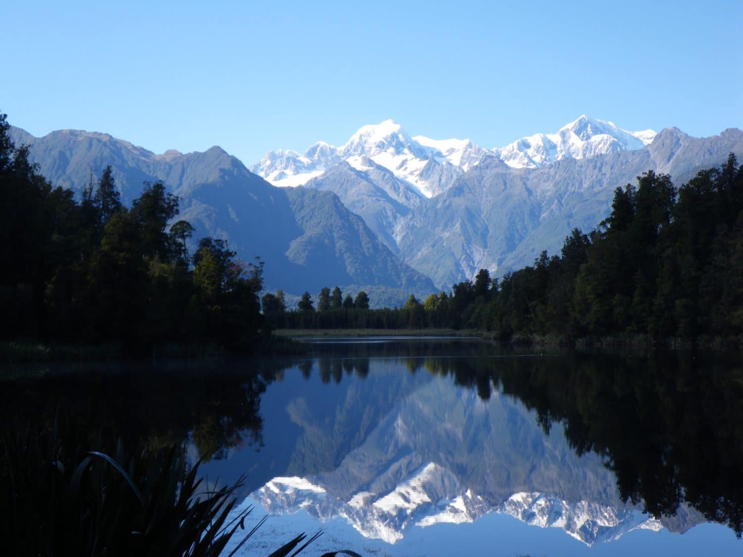 The base of Franz Josef Glacier peaks through beneath low hanging clouds